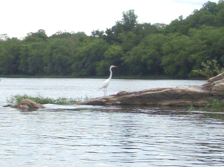  Juniata River.