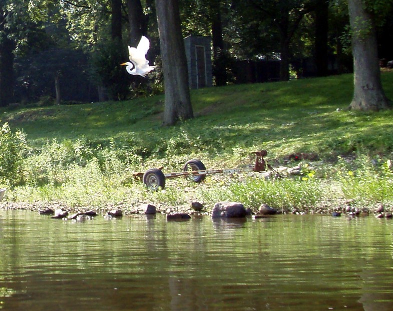  Juniata River.