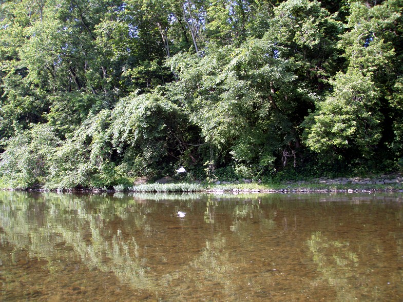  Juniata River.