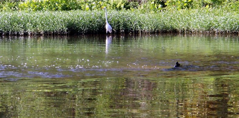  Juniata River.