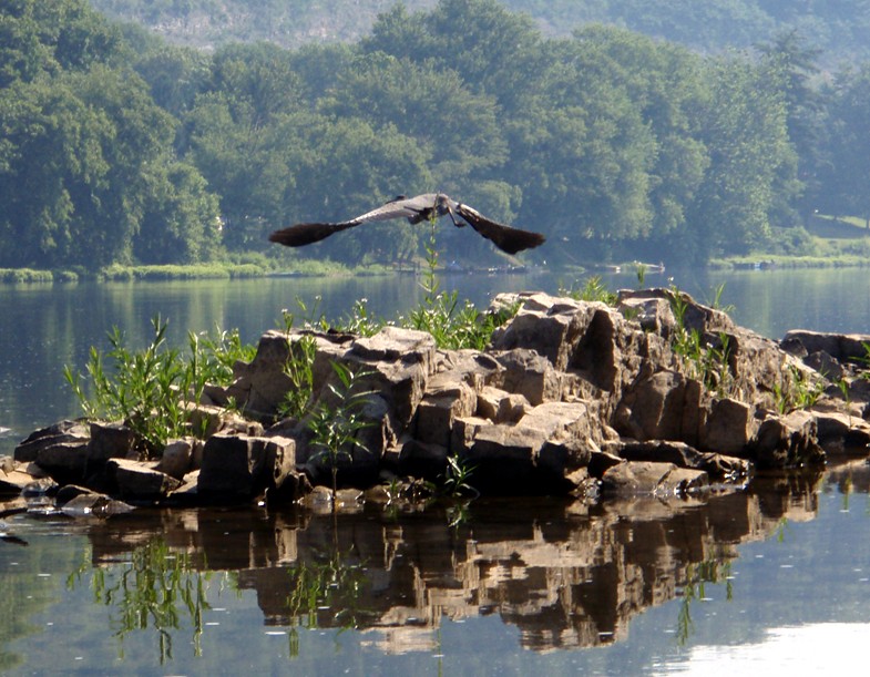  Juniata River.