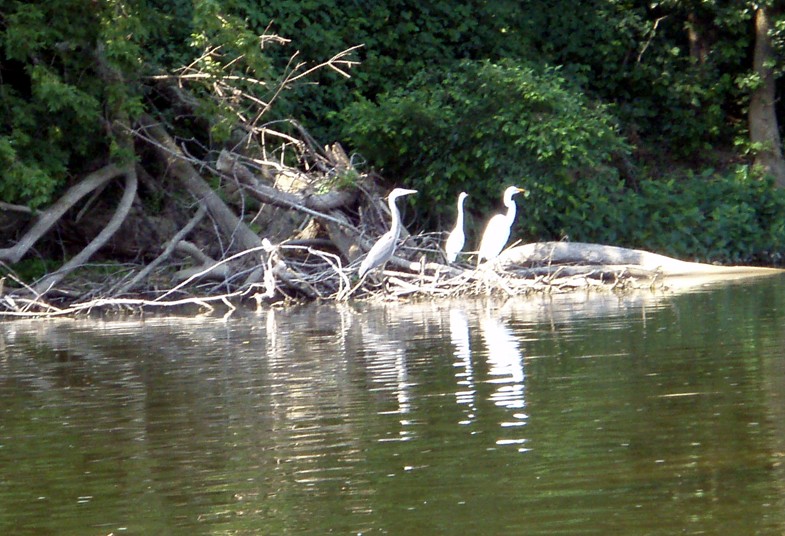  Juniata River.