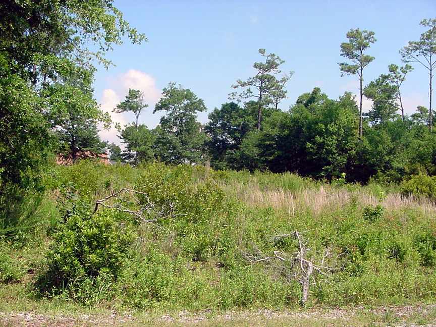 Vista Cay Lot 11