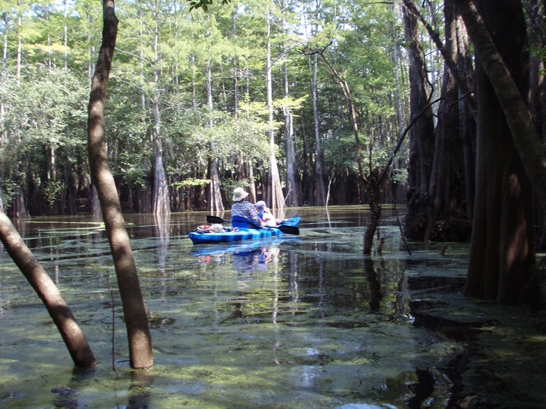  Waccamaw River trip.