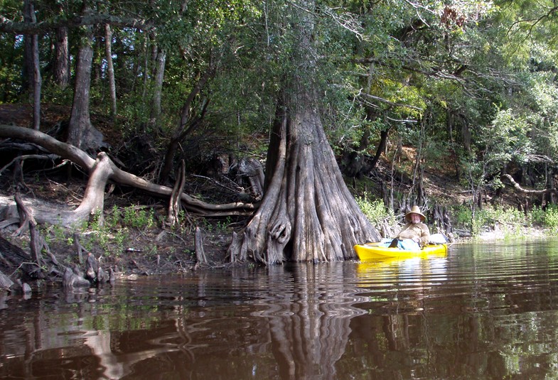  Waccamaw River trip.