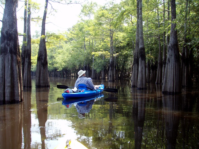  Waccamaw River trip.