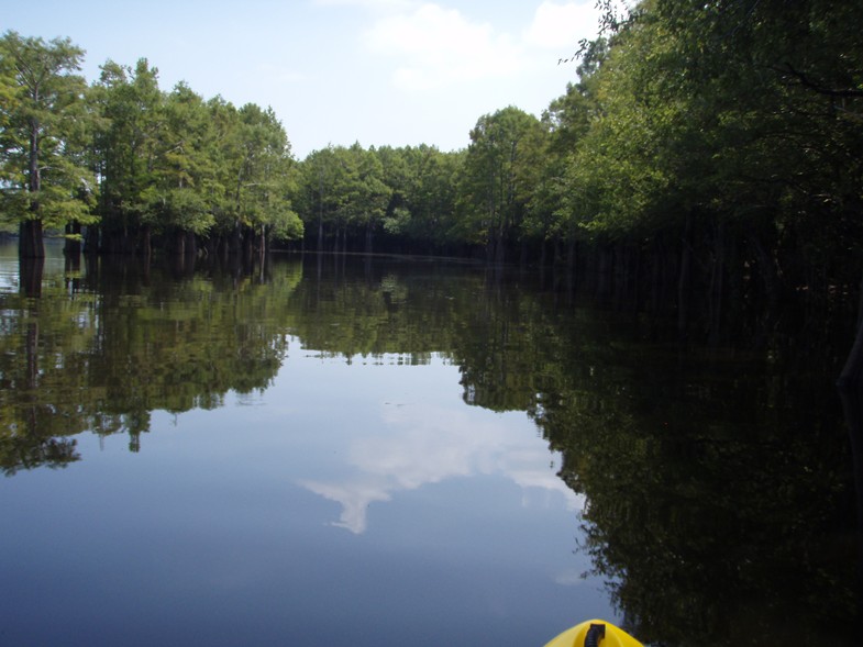  Waccamaw River trip.