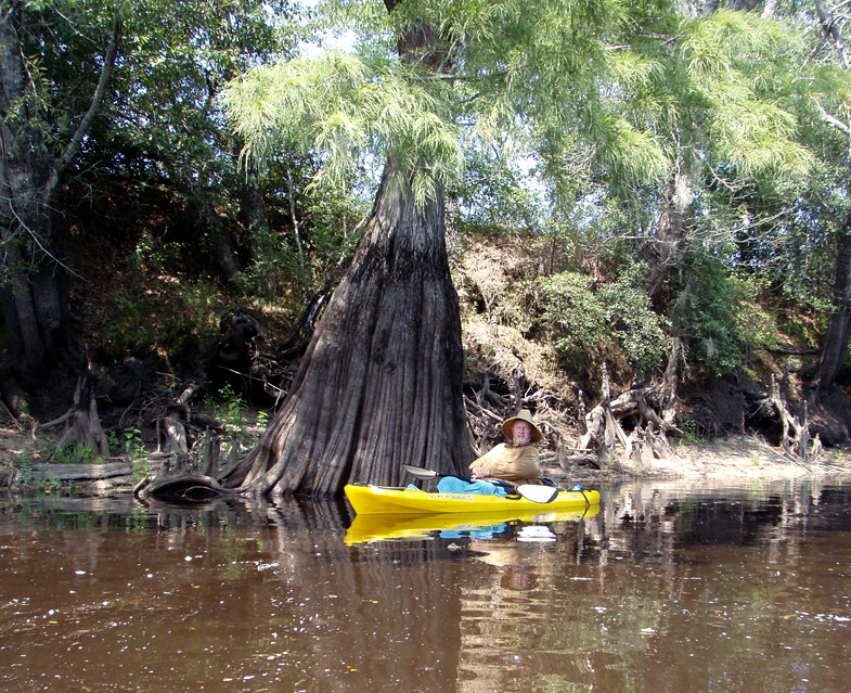  Waccamaw River trip.