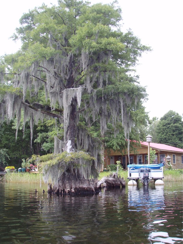  Lake Waccamaw trip.