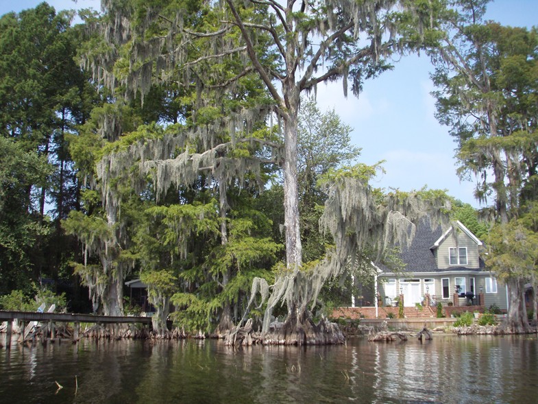  Lake Waccamaw trip.