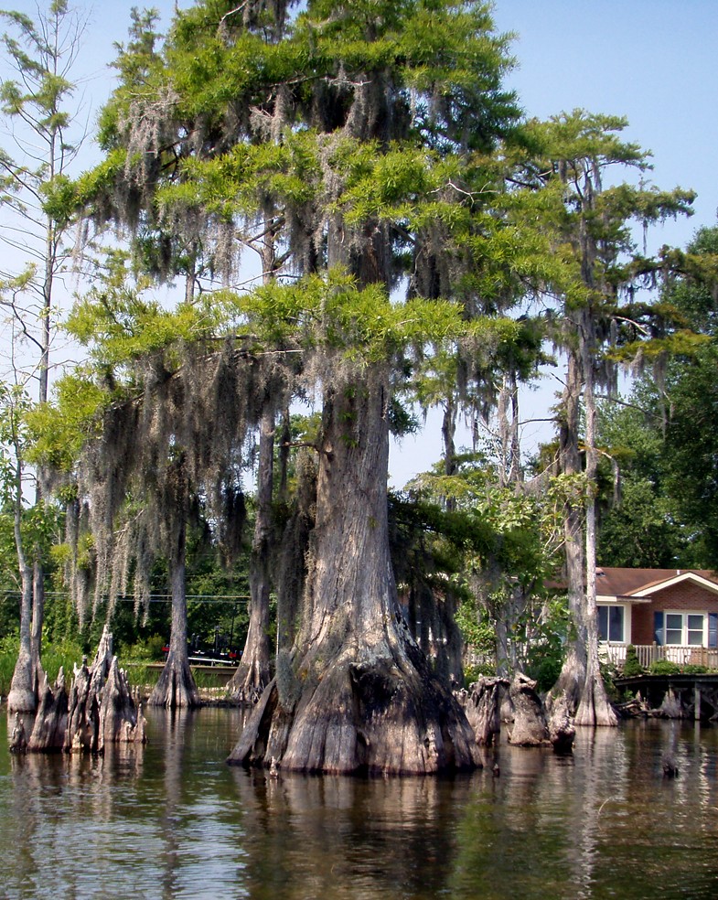  Lake Waccamaw trip.