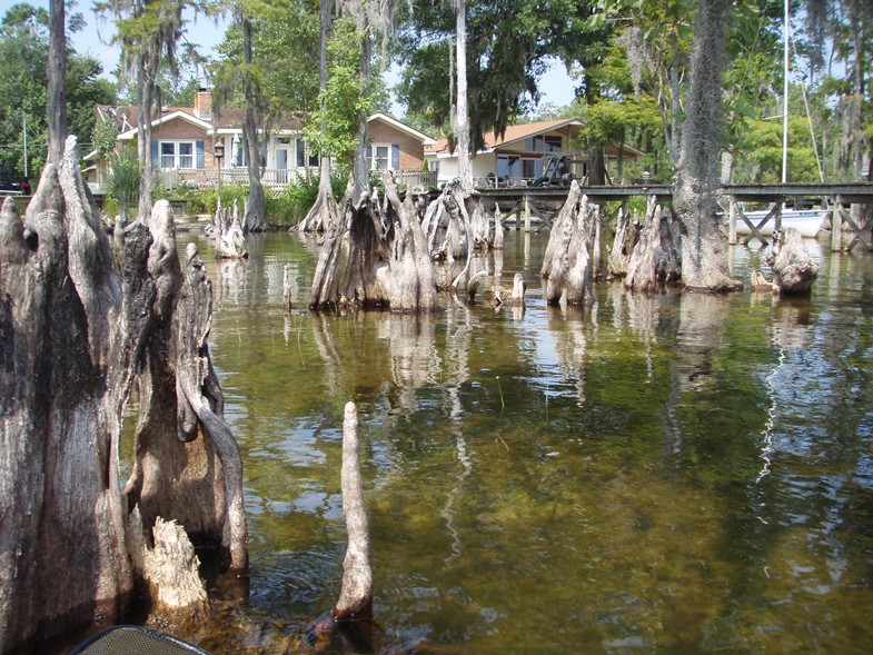  Lake Waccamaw trip.