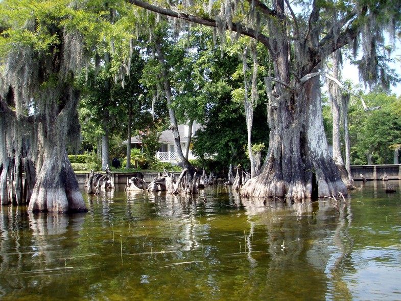  Lake Waccamaw trip.