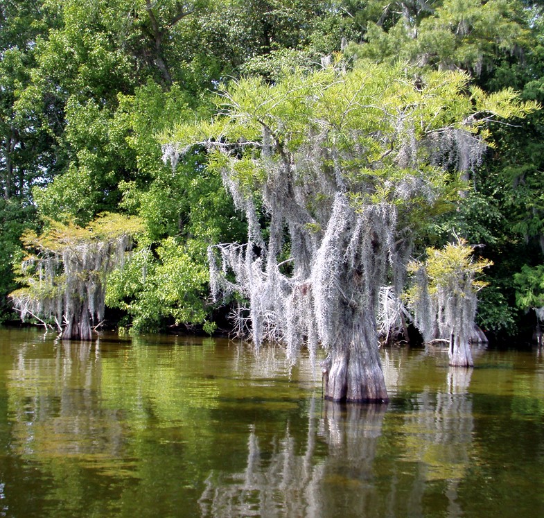  Lake Waccamaw trip.