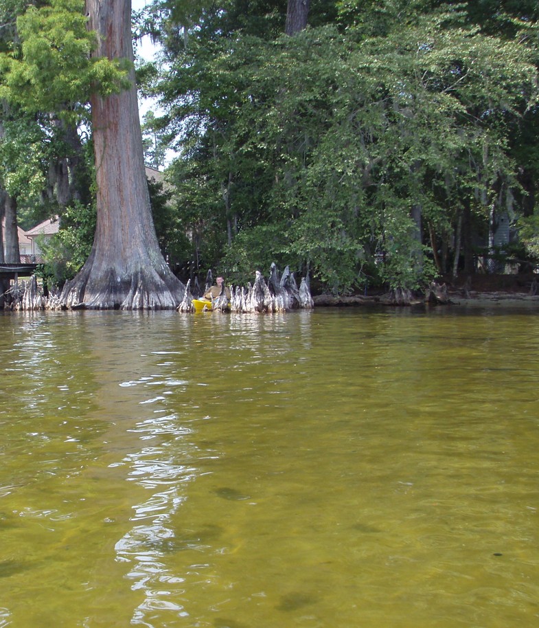  Lake Waccamaw trip.