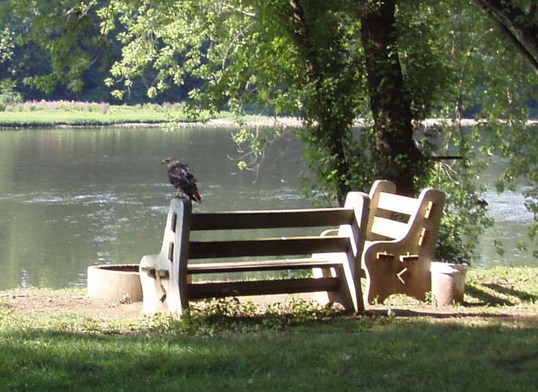  Juniata River.