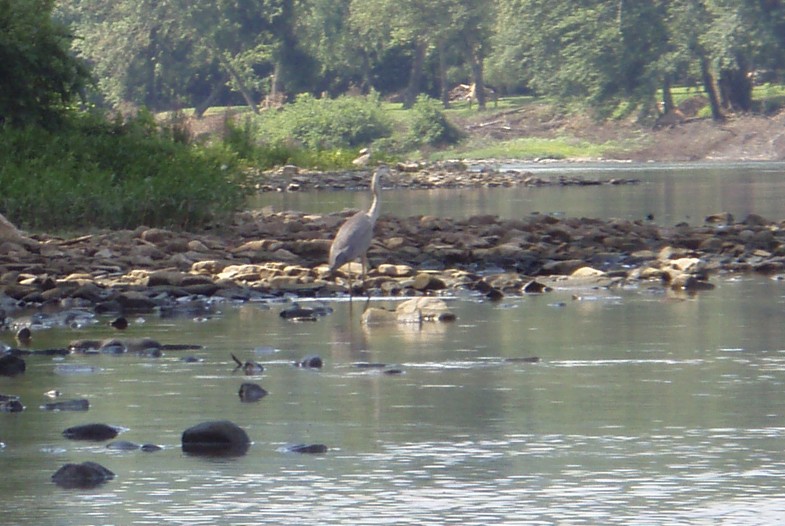  Juniata River.