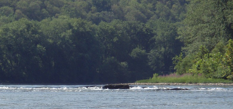  Juniata River.