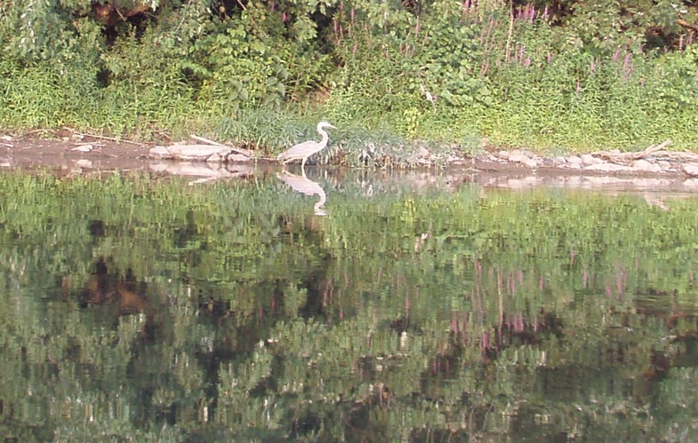  Juniata River.