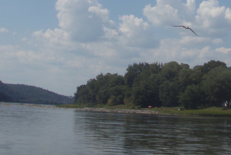  Susquehanna River.