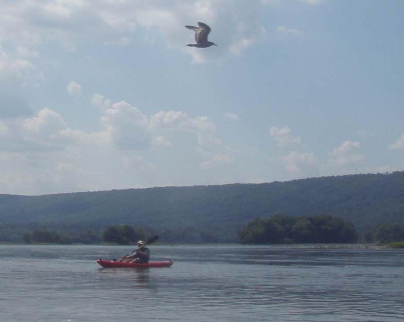  Susquehanna River.