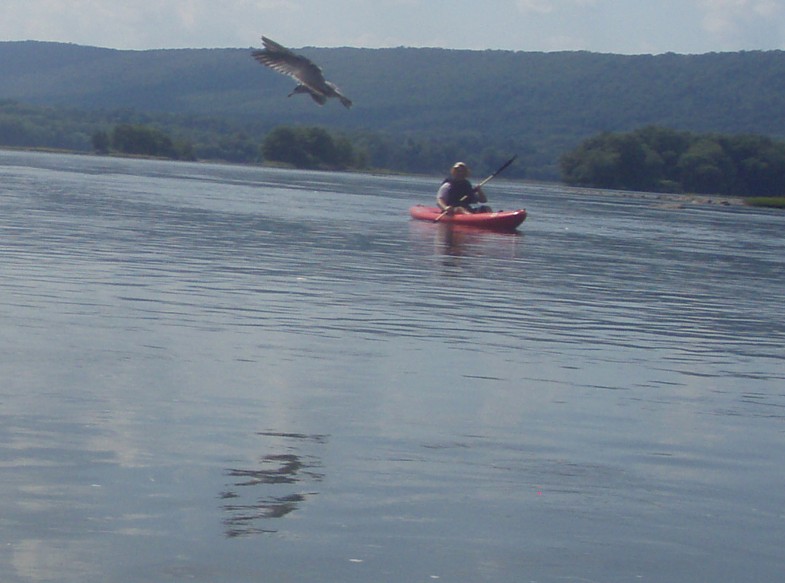  Susquehanna River.