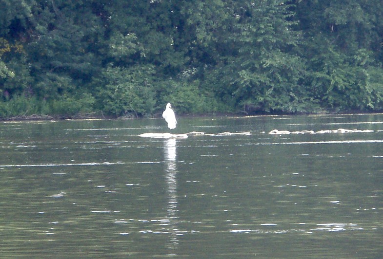  Juniata River.