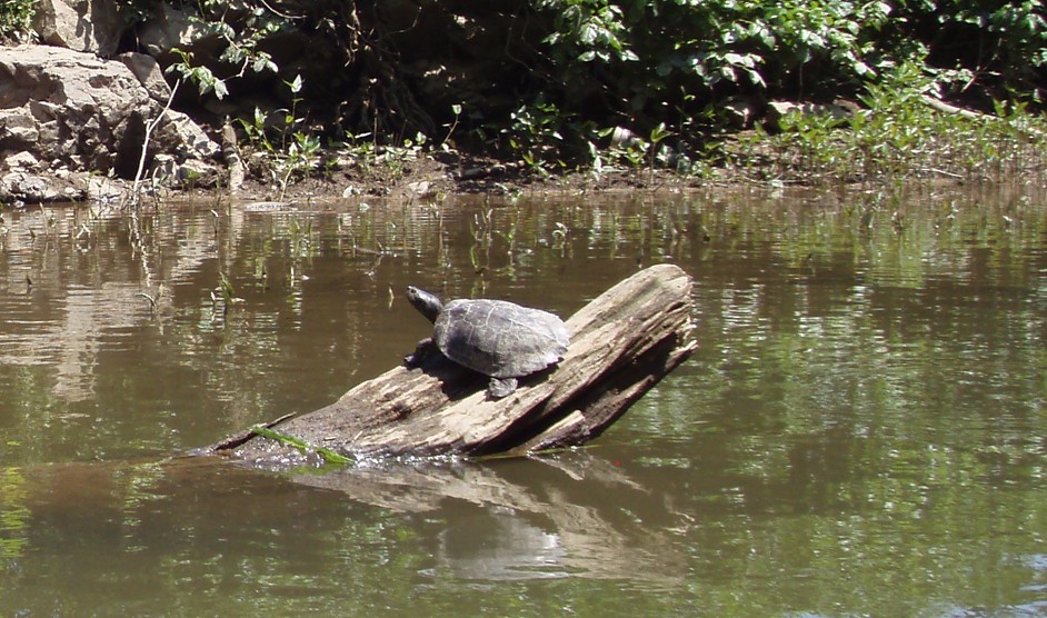  Juniata River.