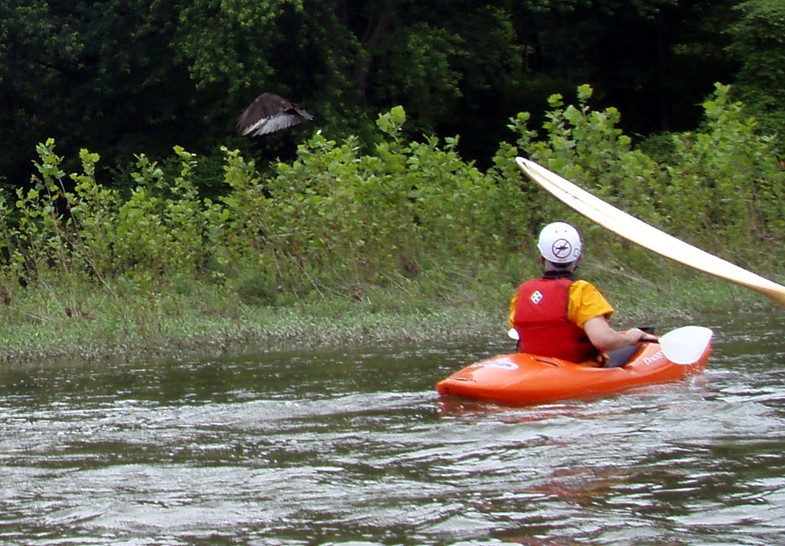  Juniata River.