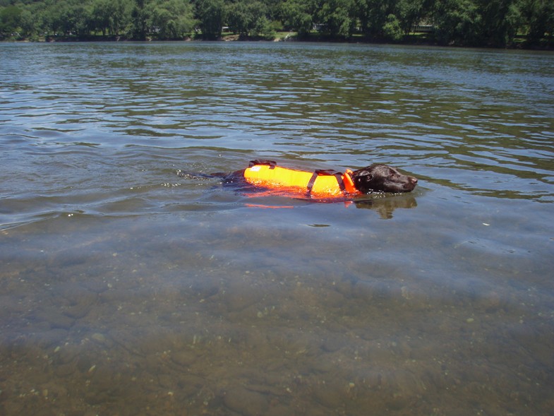  Juniata River.