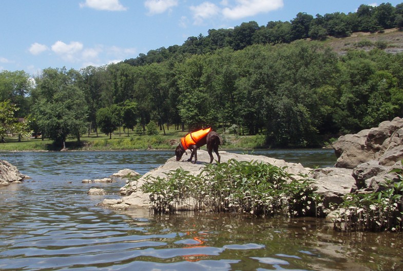  Juniata River.