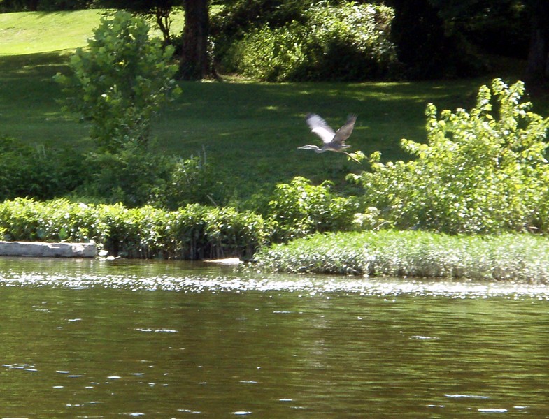  Juniata River.