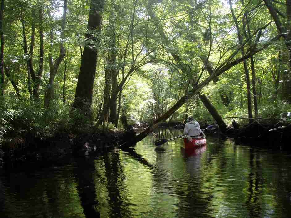  Southwest Creek.