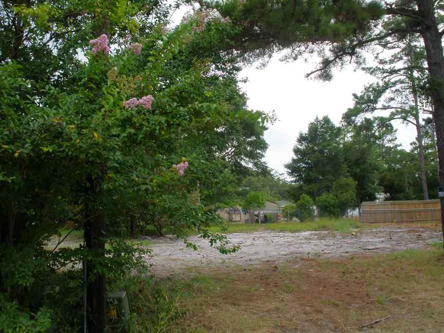 This pictures looks directly into the driveway where the mobile home