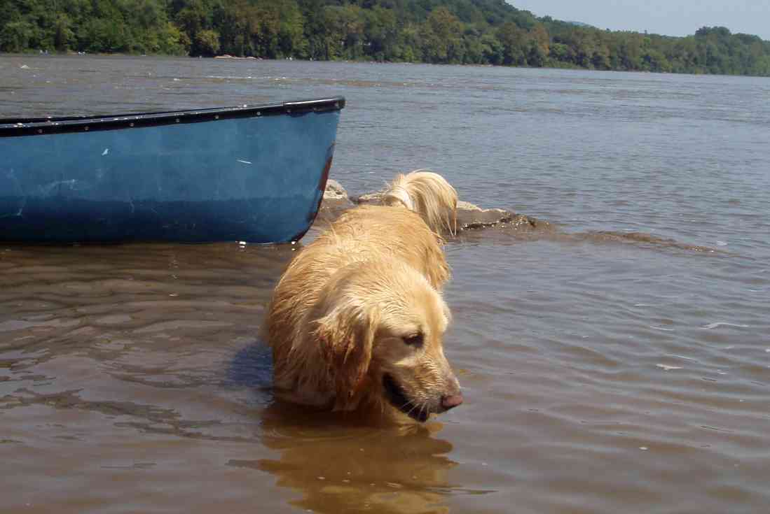  Susquehanna River.