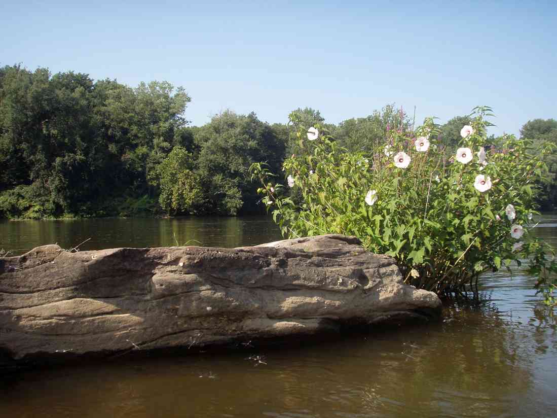  Susquehanna River.