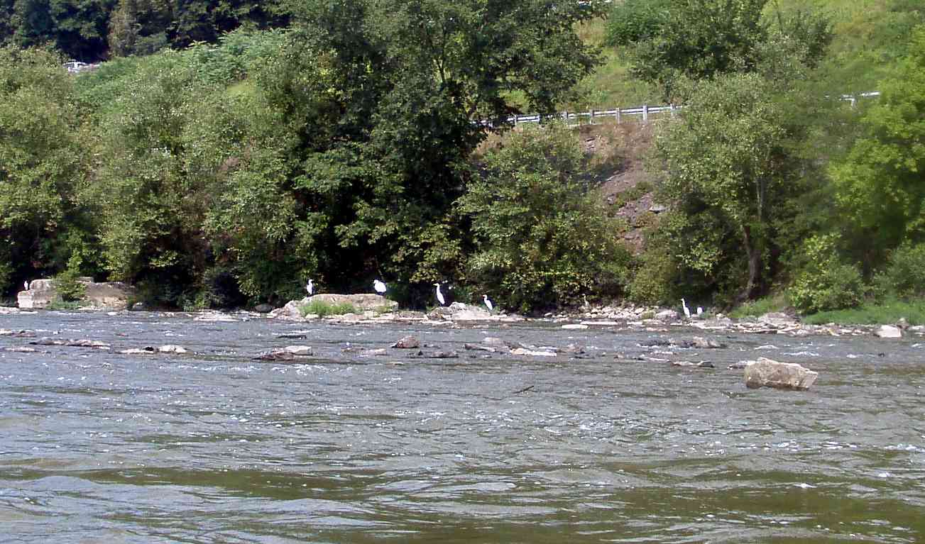  Juniata River.