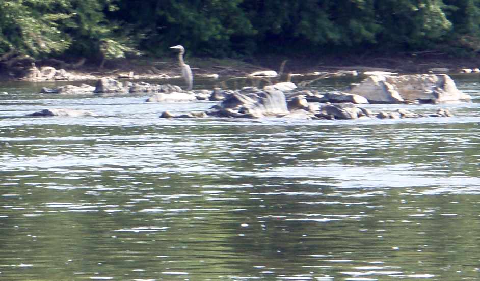  Susquehanna River.