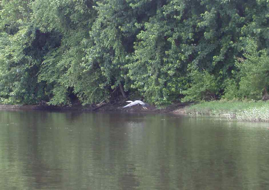  Susquehanna River.