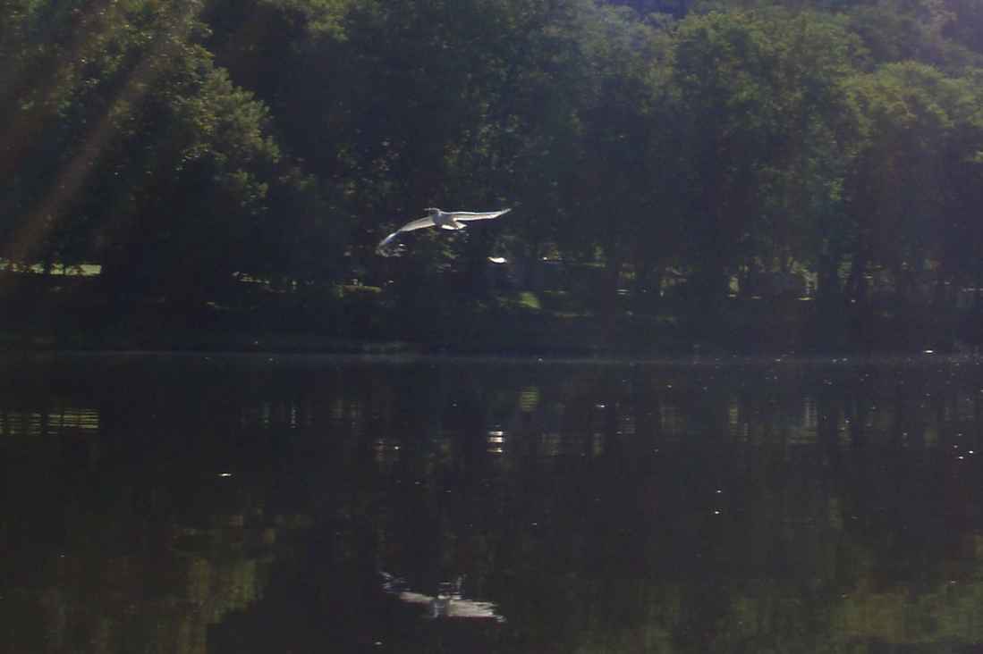  Juniata River.