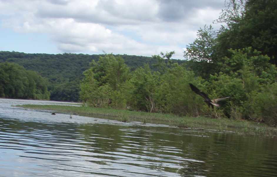  Juniata River.