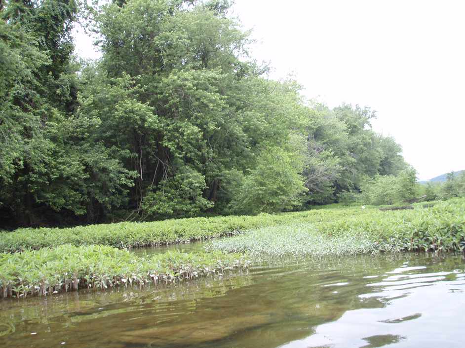  Juniata River.