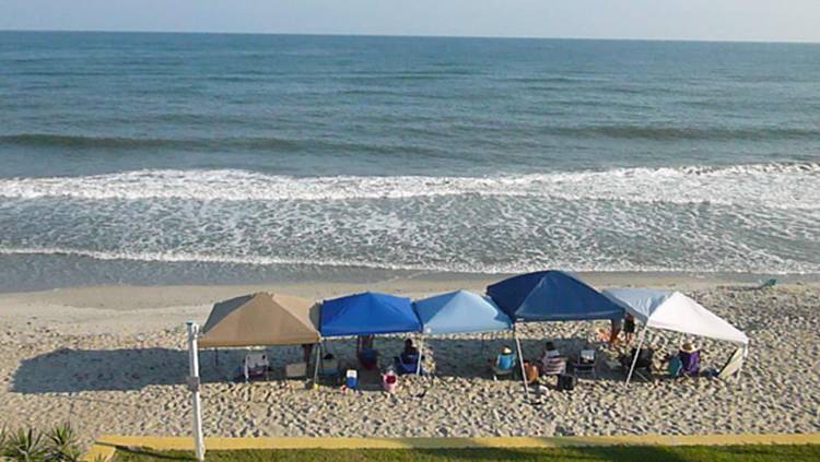 The Whaler Inn Beach Club Atlantic Beach North Carolina The Whaler Inn Beach Club Atlantic Beach North Carolina