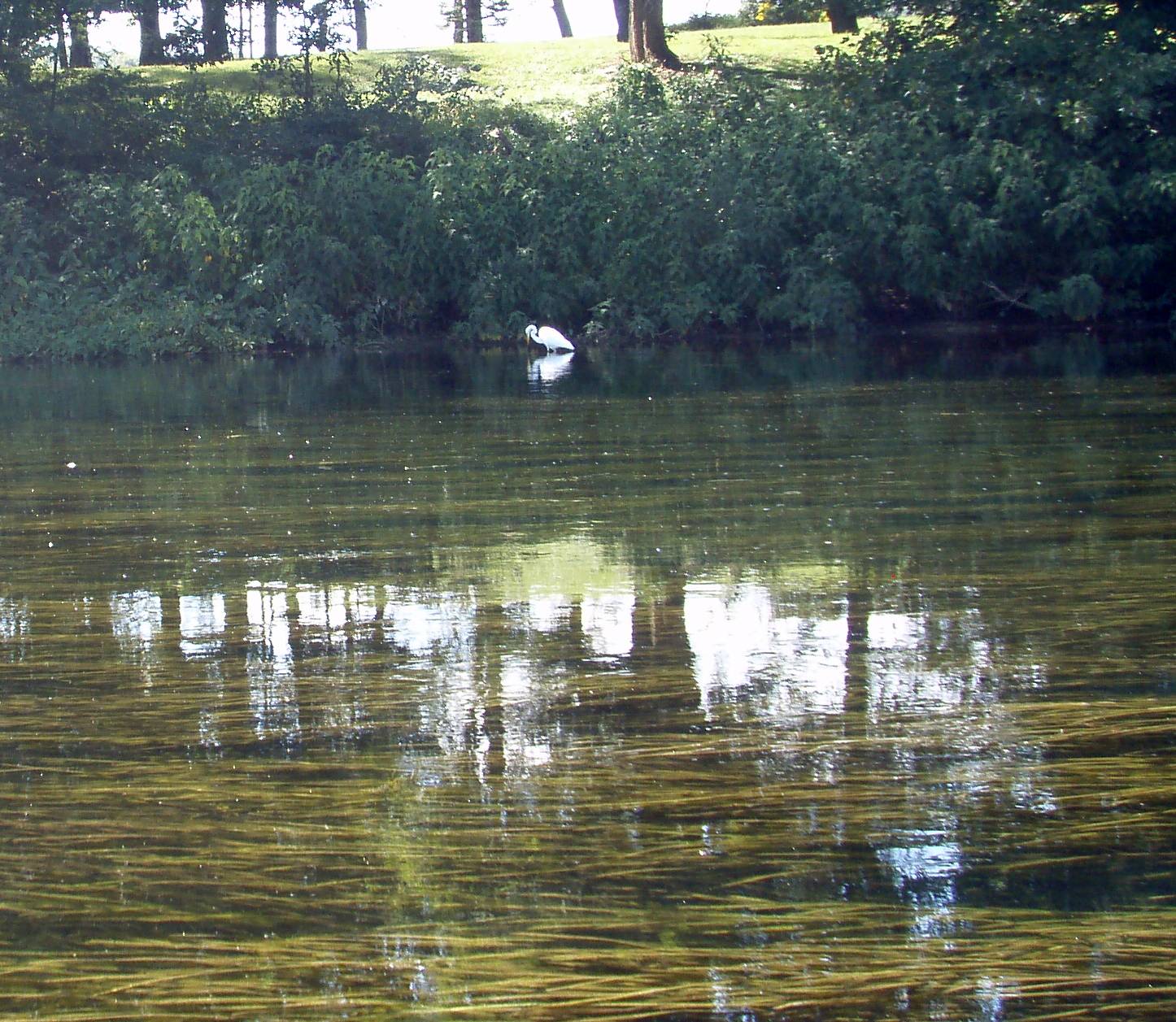  Juniata River.