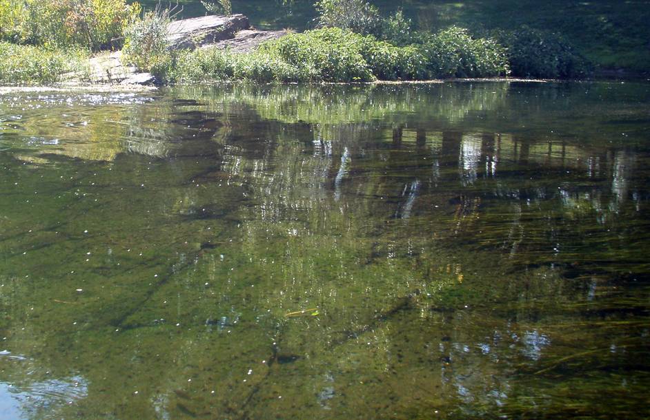  Juniata River.