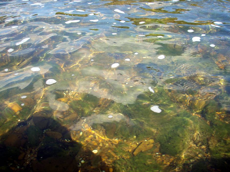  Juniata River.