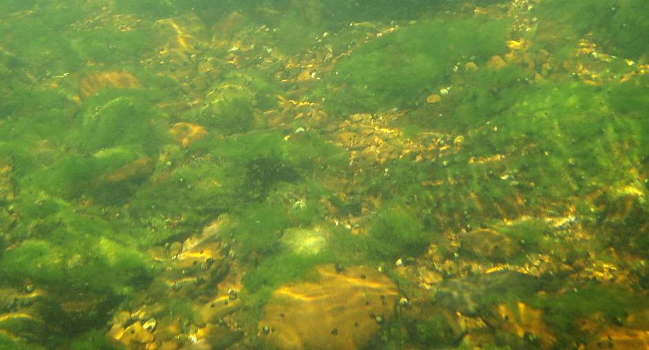  Juniata River.