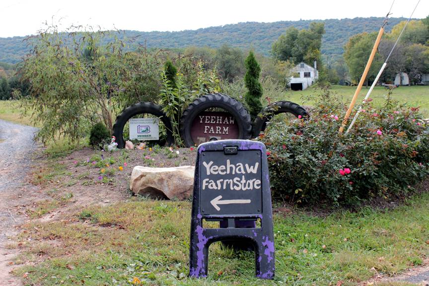  Yeehaw farm. 