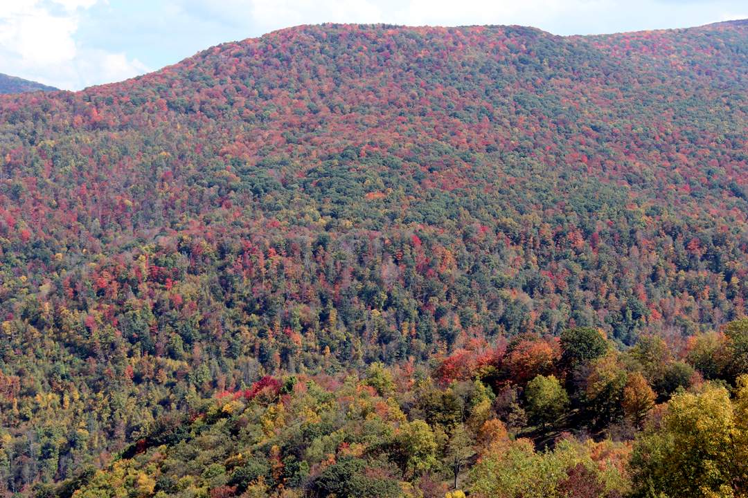  West Virginia pictures. 