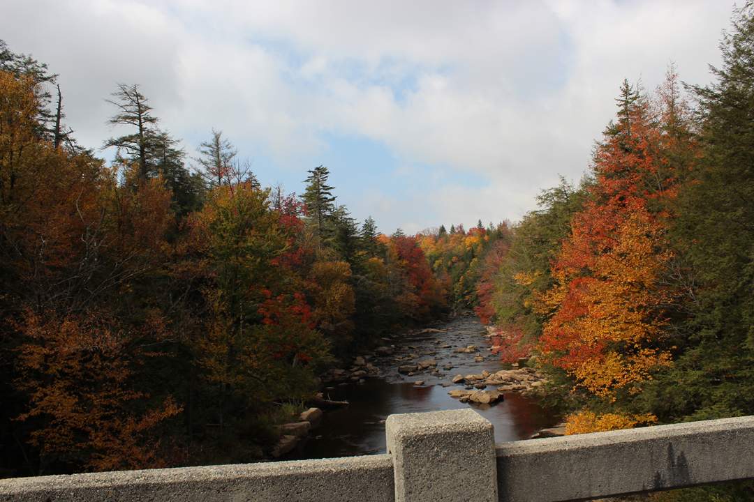  Blackwater Falls State Park. 
